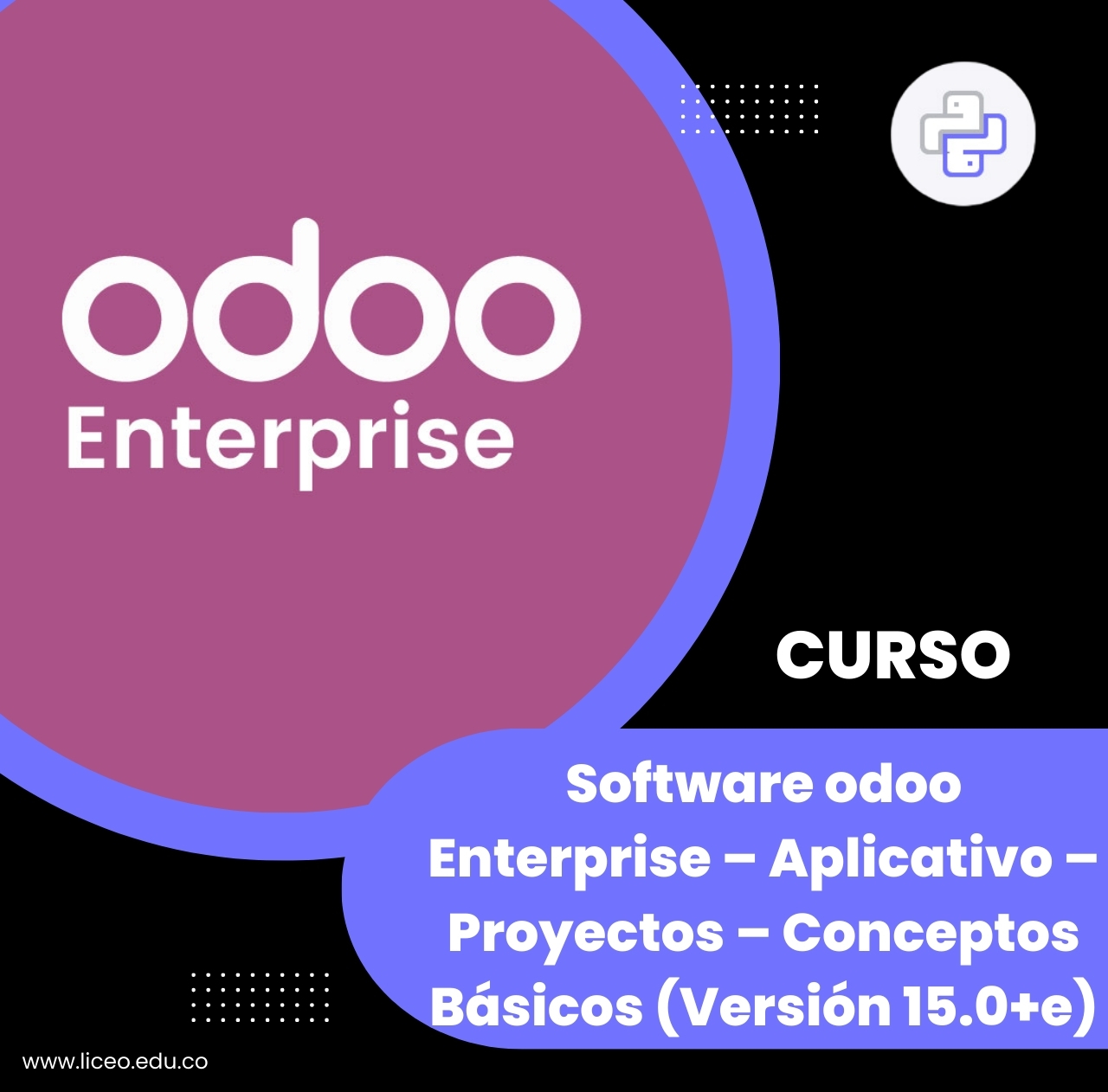 Software Odoo Enterprise – Aplicativo – Proyectos – Conceptos Básicos (Versión 15.0+e)